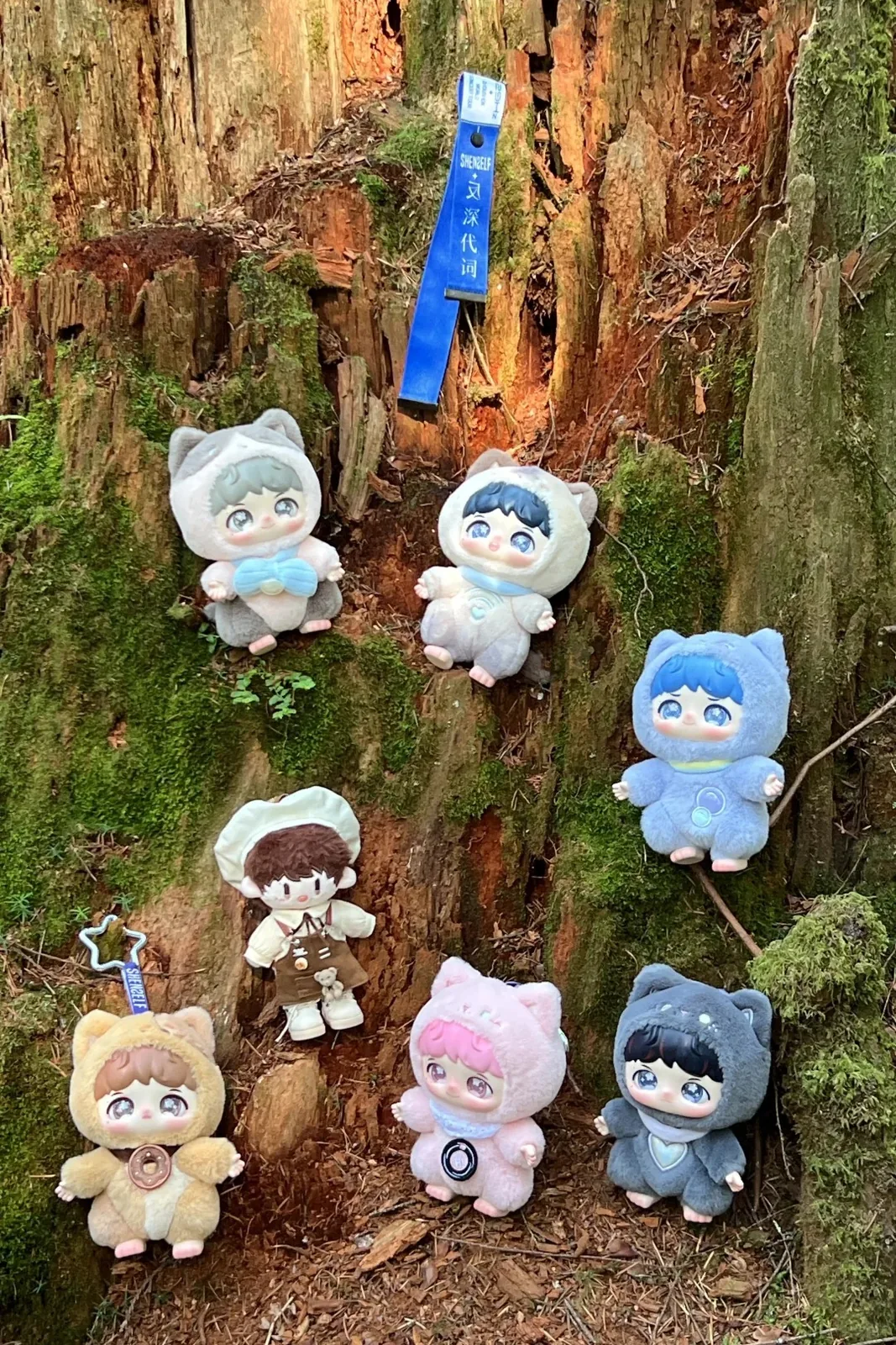 Plush toys arranged on a tree stump in the forest.